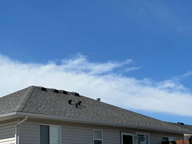 Trusted White Bear Lake, MN Roofing service Experts